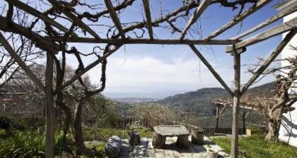 Agios Lavrendis Village: House with character