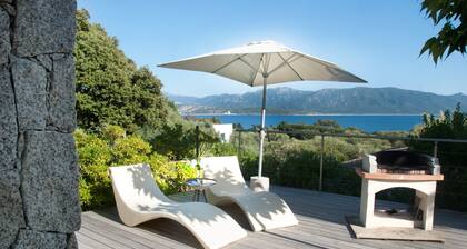 Pettirossu â
â
â
â