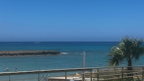Ein Küstenblick mit blauem Himmel, felsigem Ufer und einer Palme.
