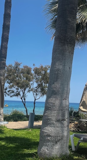 Playa en los alrededores 