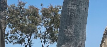 RELAX AT APOLLONOS COURT, KAPPARIS, CYPRUS - (SLEEPS 4) 15 MIN WALK TO BEACH