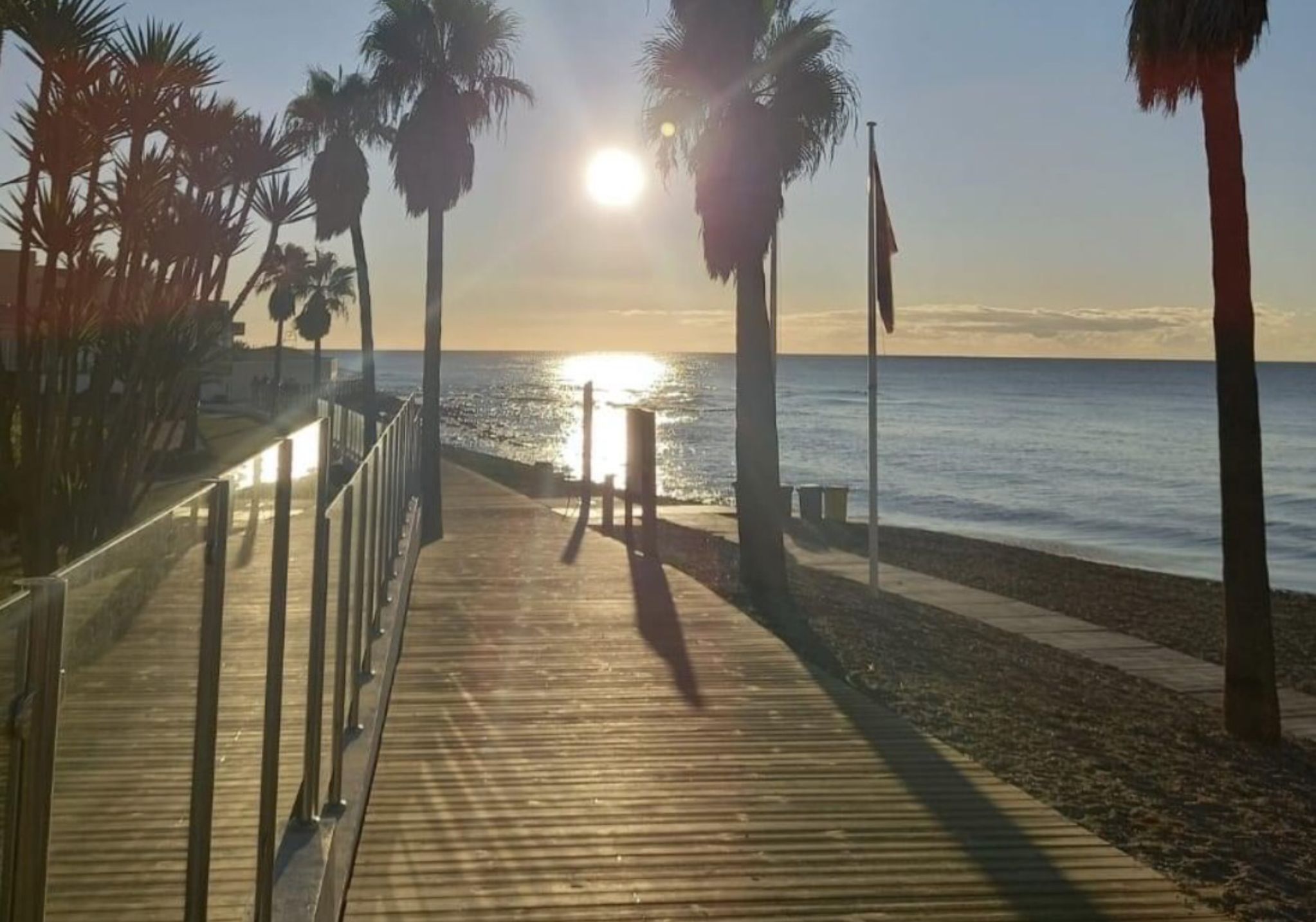 A wooden boardwalk leading to the beach with palm trees and flags.