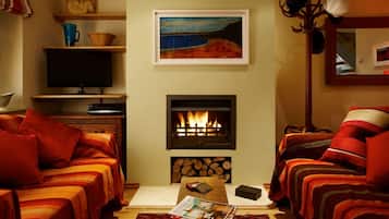 TV, fireplace, DVD player, books