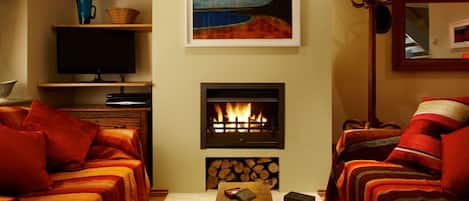 TV, fireplace, DVD player, books