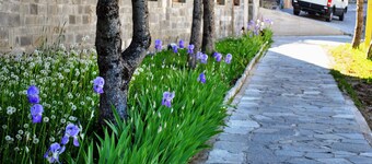 CASA DOLCE CASA large mountain-style apartment ski-in ski-out, pool, parking