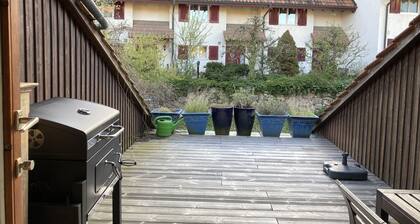 Große Ferienwohnung, wo sich nicht nur Schwalben (Hirundos) zu Hause fühlen
