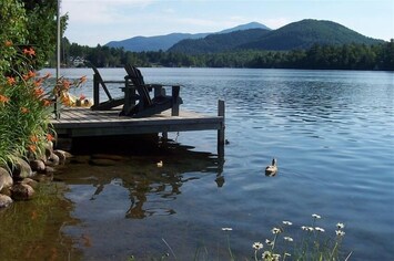 Summer time waterfront visitors....