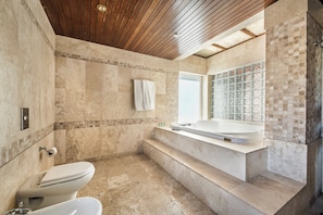 Combined shower/tub, hair dryer, bidet, towels