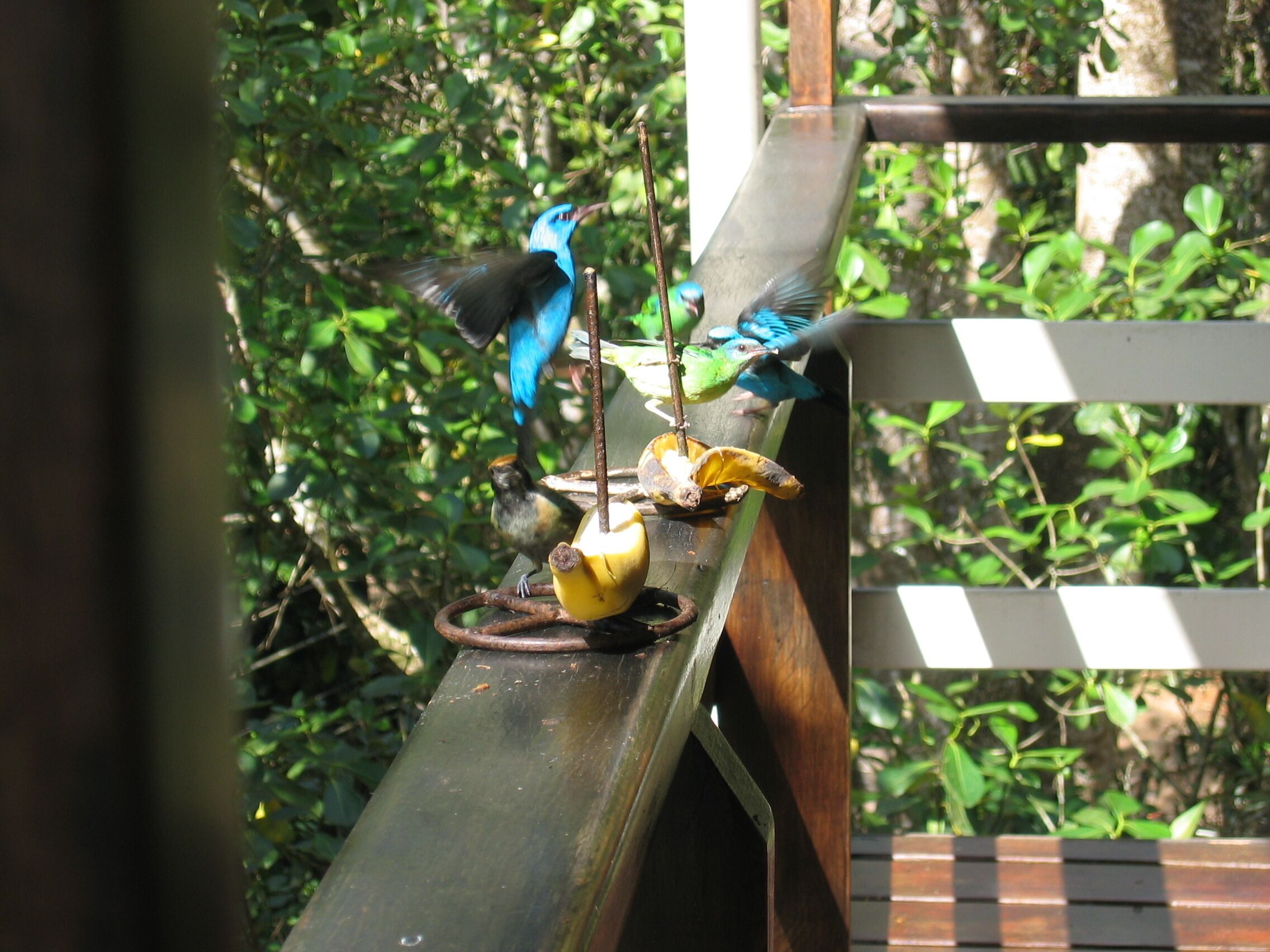 Paradise Secluded Beach