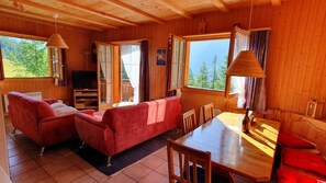 Flat-screen TV, fireplace, DVD player, books