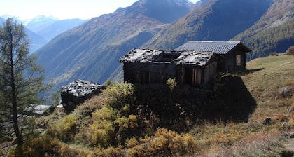 Famille et animal sympathique chalet entouré par la nature et les montagnes.