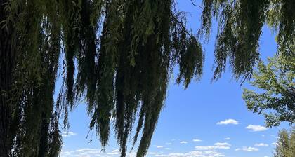 Lake Front Cottage on the north shore of Lake Charlevoix