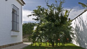 A white building with a small tree in the yard, a metal gate, and a clear sky. - Large community pool, beautiful outdoor kitchen with grill, private garden with garden furniture - Casa Marin 1 - (Conil de la Frontera)