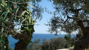 Une balustrade en pierre surplombe un paysage côtier, avec des oliviers et une vue sur la mer.
