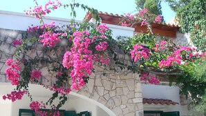 Un bâtiment à la façade en pierre, aux volets verts et aux lianes de bougainvilliers roses.