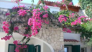 DĂ©tail de lâextĂ©rieur