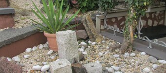 well-equipped apartment in a quiet forest location