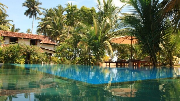 Piscina azul e límpida cercada por vegetação exuberante e palmeiras, com um deque de madeira e espreguiçadeiras.