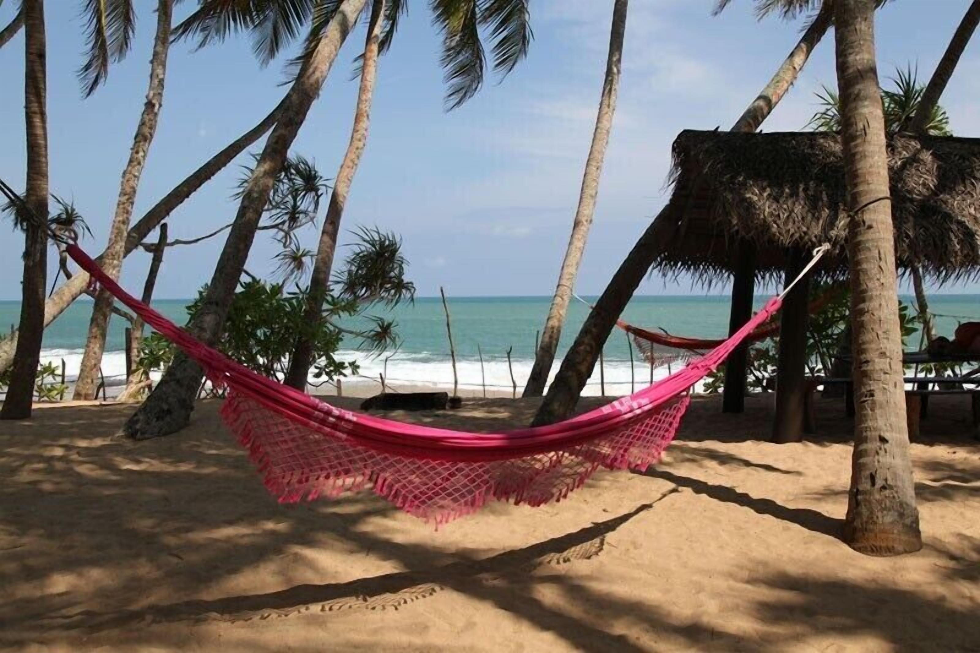A hammock on a sandy beach with palm trees and a thatched-roof structure in the background.