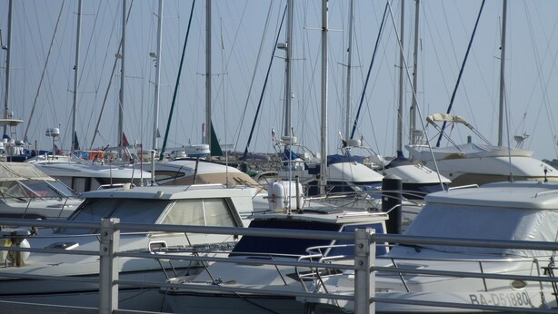 A marina with multiple sailboats docked.