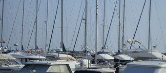 Comfortable apartment in a quiet, secure residence with trees