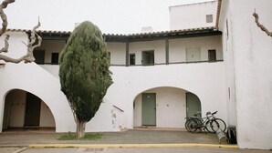 A courtyard with a tree, a bicycle, and a building with arches and a tiled roof.
