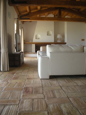 智能電視、壁爐、書籍