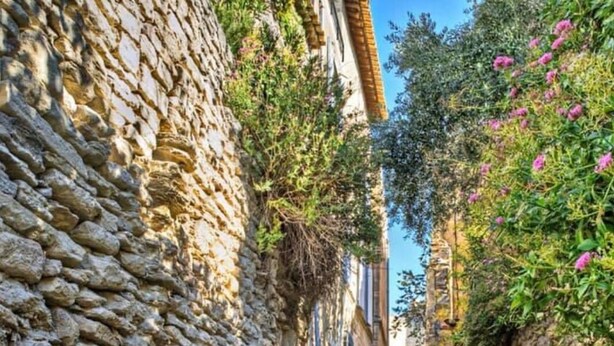 A narrow cobblestone street flanked by stone buildings with vegetation and flowers. - Charming house in hamlet 18 th in the heart of the Luberon with swimming pool and air conditioning (Gordes)