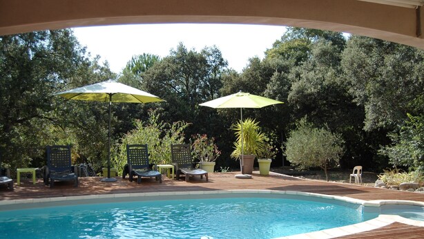 A swimming pool with lounge chairs and umbrellas, surrounded by greenery.