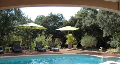 Large, pretty villa in the garrigue of Nîmes