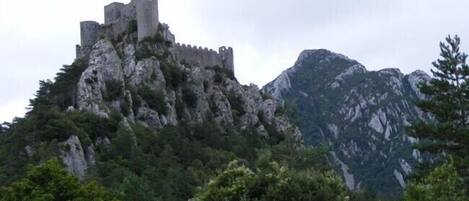 A castle on a rocky hill with dense forest in the foreground.