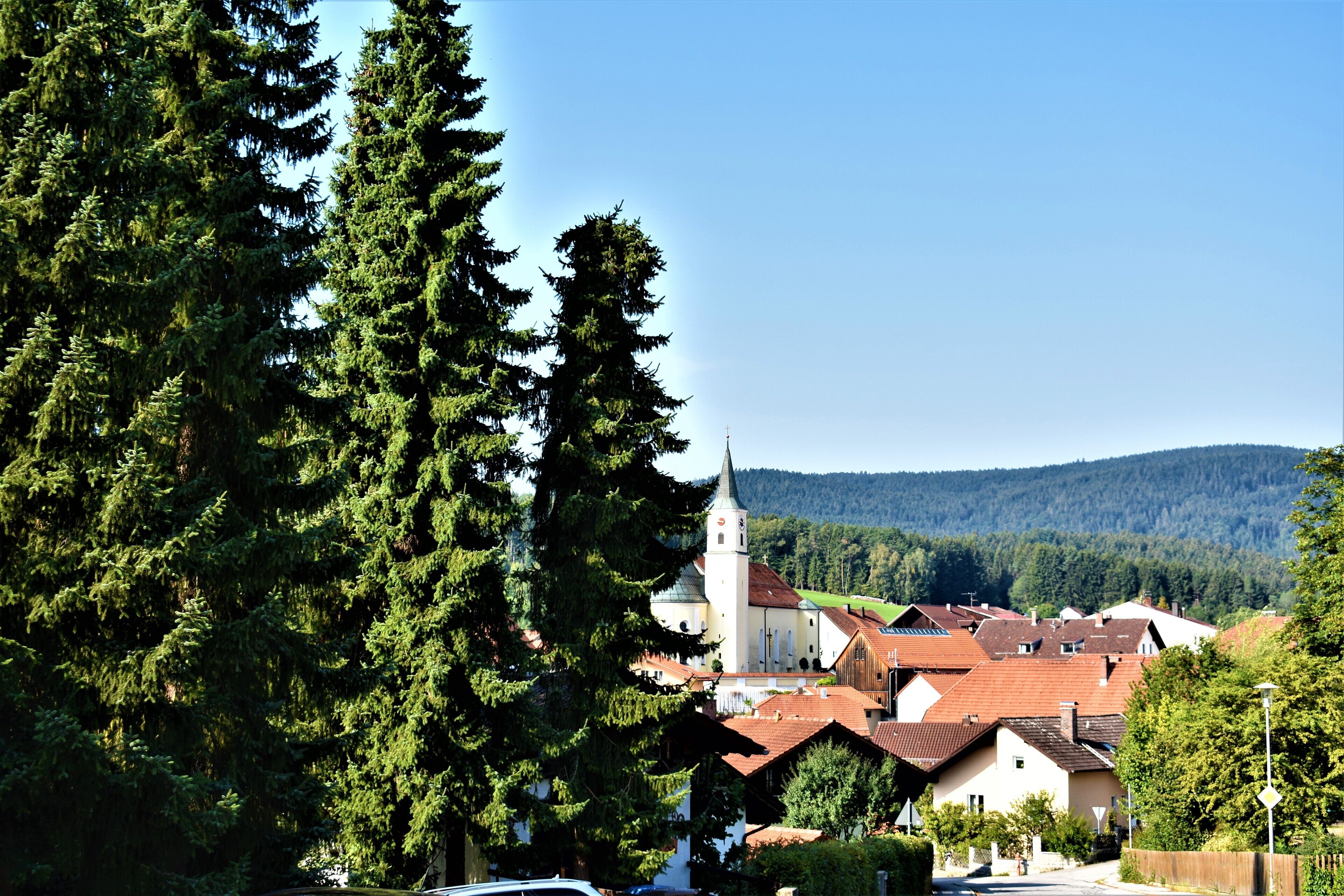 A town with a prominent church featuring a tall steeple, surrounded by residential buildings and dense forest.