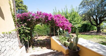 Casa / villa / chalet - Rodi garganico