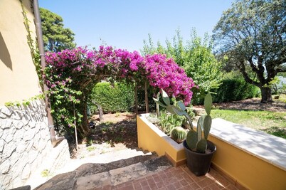 House / Villa - Rodi garganico