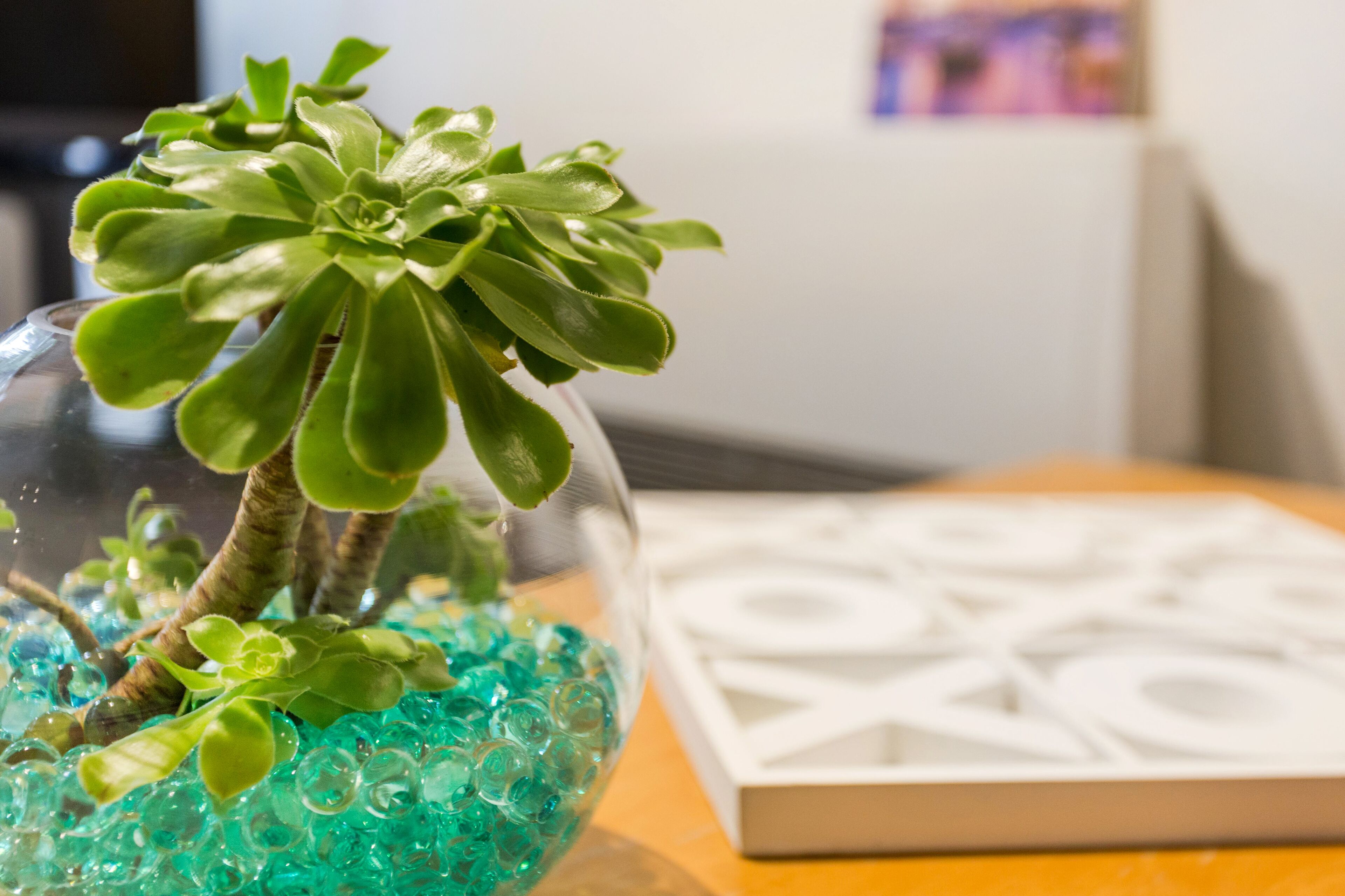 Melbourne Villa — image 10