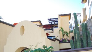 Un bâtiment avec un mur en pierre, un cactus et des fleurs violettes.