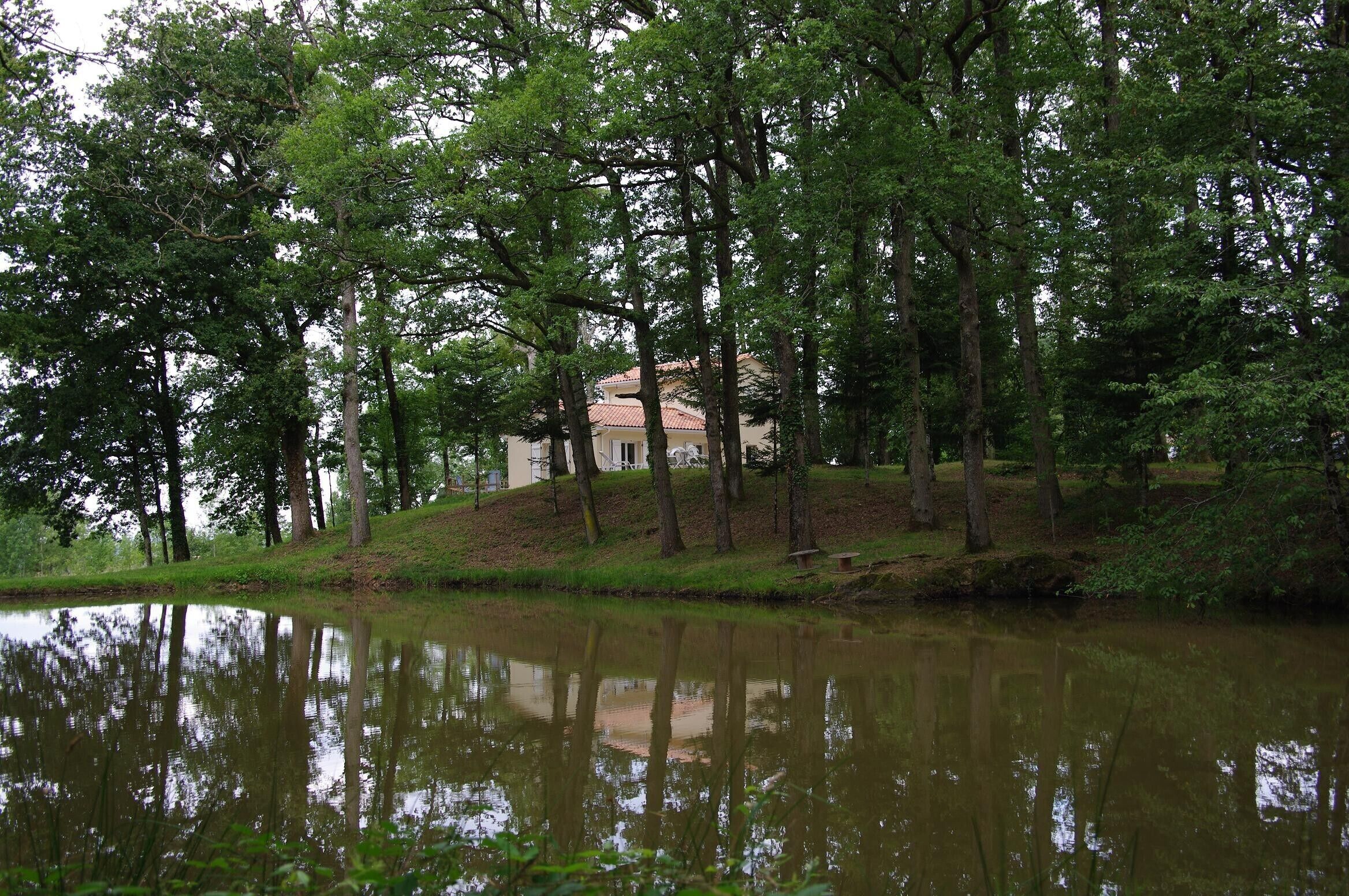 Een huis omringd door hoge bomen en een rustig vijver.