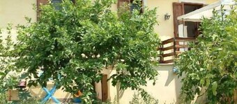 レモン洞窟のコテージ