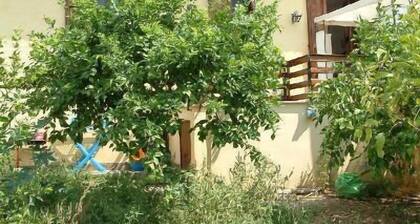 Cottage in the lemon grove on the sea
