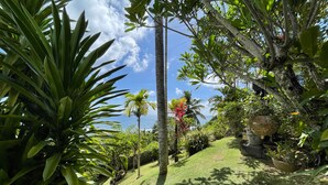 A lush garden with a variety of tropical plants, a palm tree, and a clear view of the ocean. - Chalets Bougainville
Ground floor Apartment with Ocean View (Bougainville)