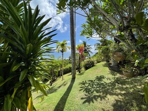 Stroll through a serene garden with a variety of lush plants and trees, including palm trees and broad-leafed plants, along a well-maintained grassy pathway.