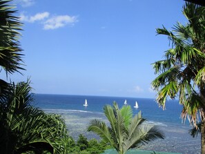 Enjoy a serene coastal retreat with access to the beach and lush green surroundings.