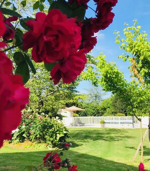 المنطقة المحيطة بالمنشأة