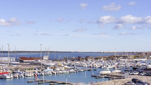 A marina with numerous boats docked at various piers.