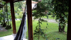 A hammock under a wooden pergola with a view of a garden and a building in the background. - House for rent in gated community, Boiçucanga, São Sebastião, SP (São Sebastião)