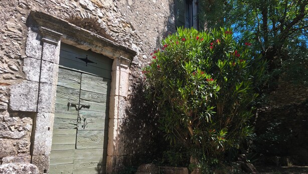 Un edificio de piedra con una puerta verde, un pequeño jardín con flores rojas y un árbol.