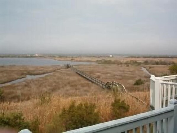 Property grounds - Spacious 3BR only steps away from the beach (North Topsail Beach)