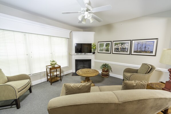 Televisión, chimenea, reproductor de DVD, videoteca