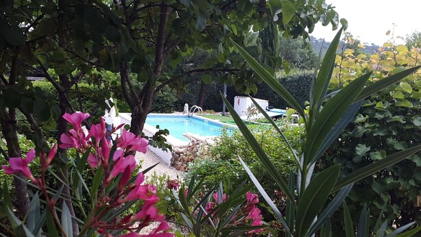 A pool surrounded by lush greenery and flowering plants. - lodging the rosemary: implanted in a green frame under the sun of midday. (Le Thoronet)