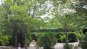 A garden with a bamboo structure, stone walls, and various plants. - lodging the rosemary: implanted in a green frame under the sun of midday. (Le Thoronet)